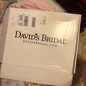 David’s Bridal-dress size 14 ivory